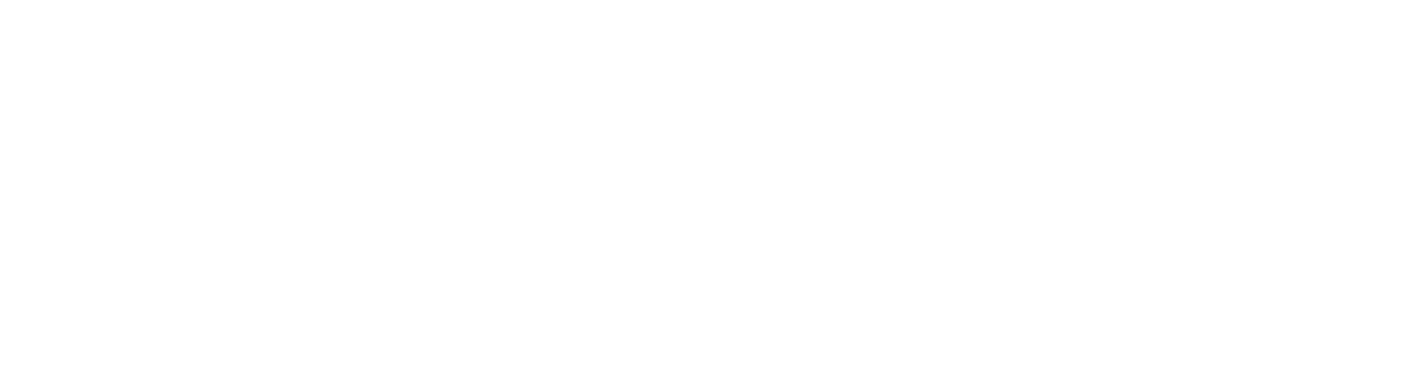 SinceNew Logo